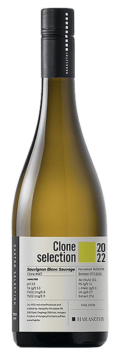 Sauvignon Blanc Clone Selection